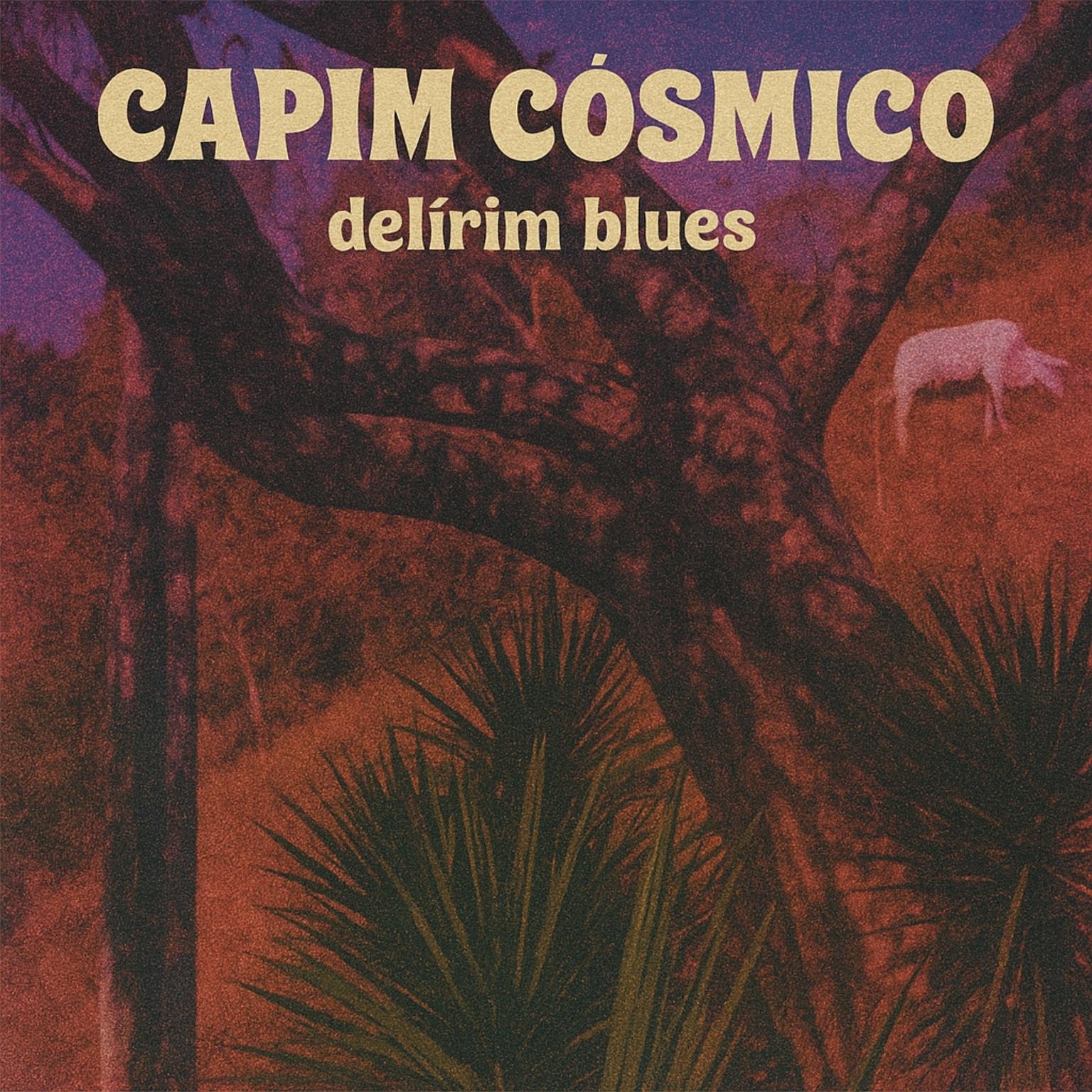 Capim Cósmico